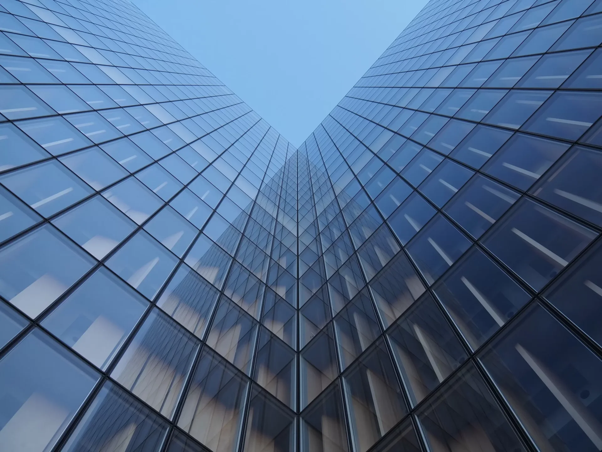 Silicone Facade